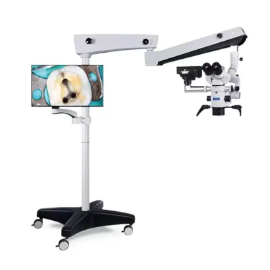 microscop coxo