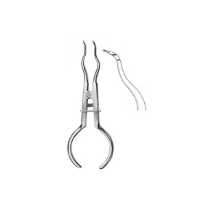Cleste cleme diga Brewer 17cm