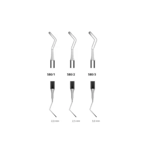 Spatula bucala
