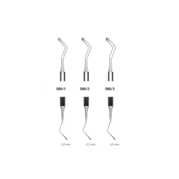 Spatula bucala