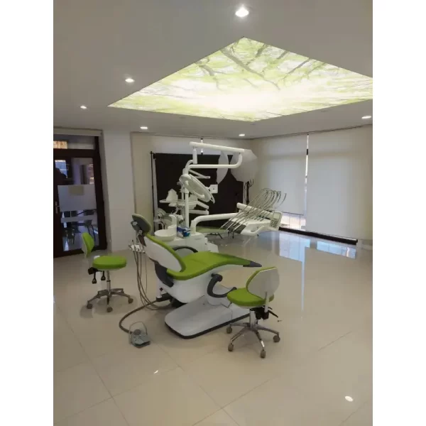Unit dentar Suntem STD 560 cu furtune pe sus Luxury - imagine 4
