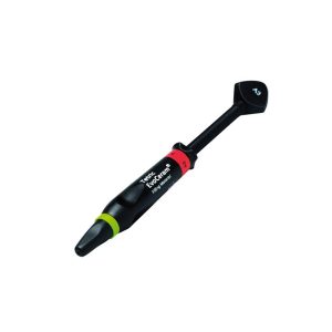 Tetric Evoceram seringa 3g