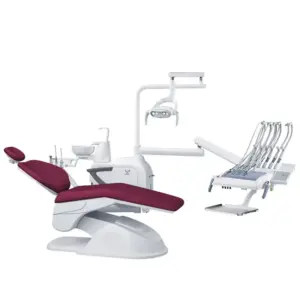 gds200fs bordo