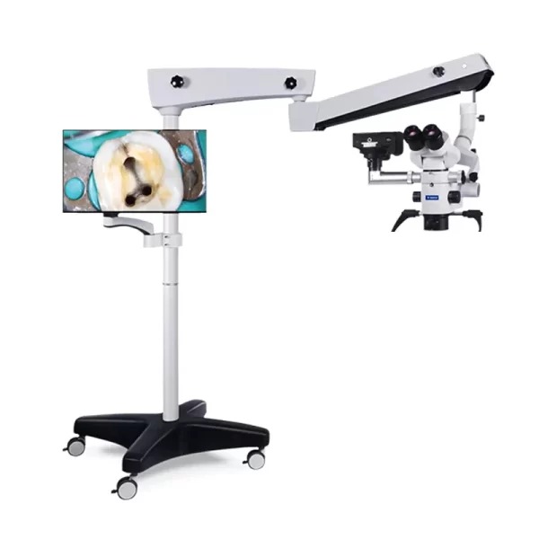 microscop coxo