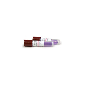 Indicator biologic sterilizare abur Geobacillus Stearothermophilus fiola 24h