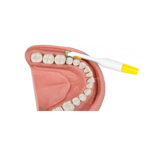 Matrice ProMatrix Estetic premolar (galben) - imagine 2
