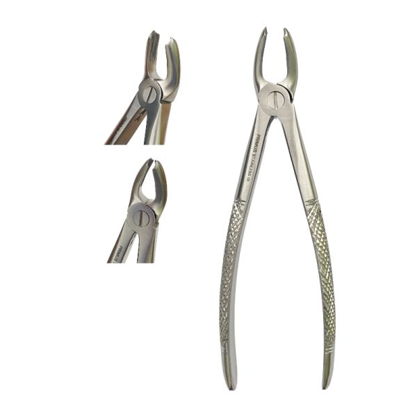 Cleste extractie molar minte inferior
