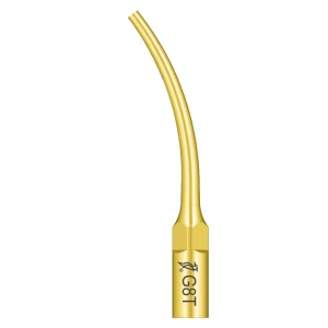 Ansa detartraj G8T Woodpecker
