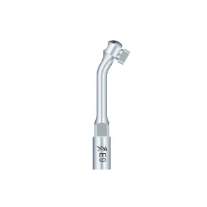 Ansa detartraj endo E9 Woodpecker