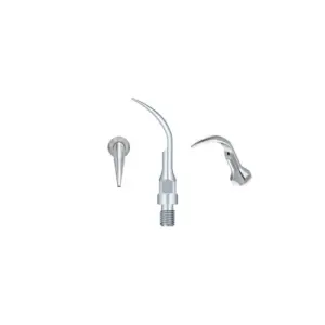 Ansa detartraj GS1 Sirona