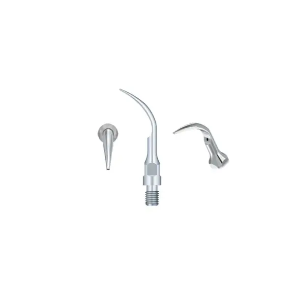 Ansa detartraj GS1 Sirona