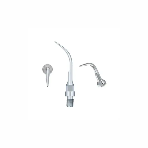 Ansa detartraj GS5 Sirona
