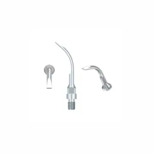 Ansa detartraj GS6 Sirona