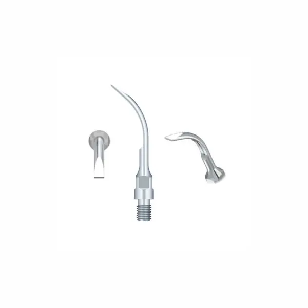 Ansa detartraj GS6 Sirona