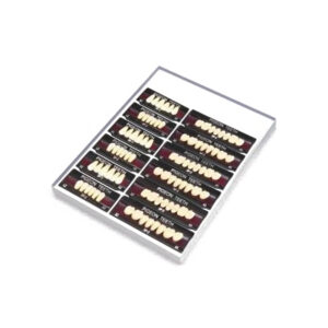 set dinti pigeon sp2